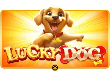 3dsky Standard Play Room